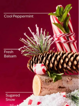 Гель для душа Twisted Peppermint від Bath and Body Works