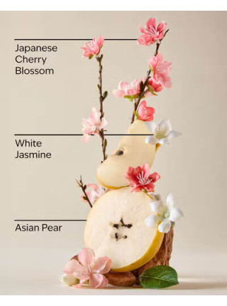 Крем для тіла Japanese Cherry Blossom від Bath and Body Works