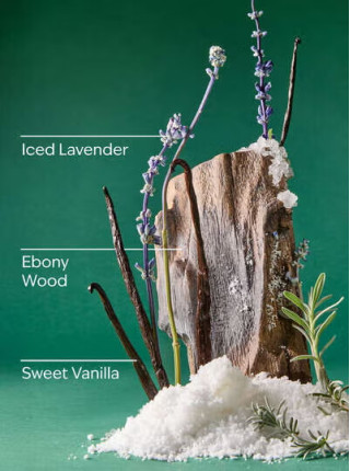 Змінний блок Iced Vanilla Woods Wallflowers Fragrance Refill