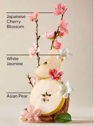 Концентрований спрей для оселі Bath and Body Works - Japanese Cherry Blossom