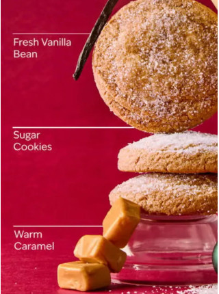 Концентрований спрей для оселі Bath and Body Works - Vanilla Bean Noel
