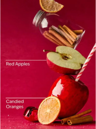 Концентрований спрей для оселі Bath and Body Works - Winter Candy Apple