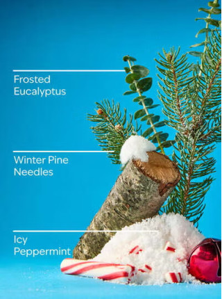Концентрований спрей для оселі Bath and Body Works - Frosted Forest
