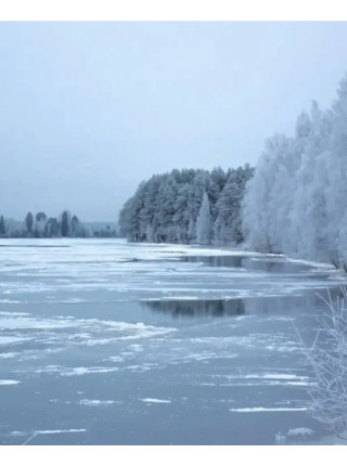 Концентрований спрей для оселі Bath and Body Works - Frozen Lake