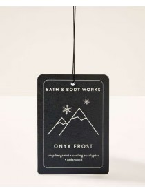Підвісний ароматизатор Bath & Body Works Onyx Frost