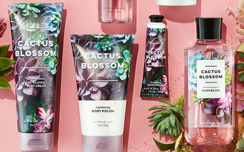 Лучший сладкий цветочный аромат Bath & Body Works: Cactus Blossom